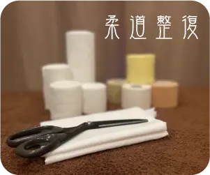 柔道整復術